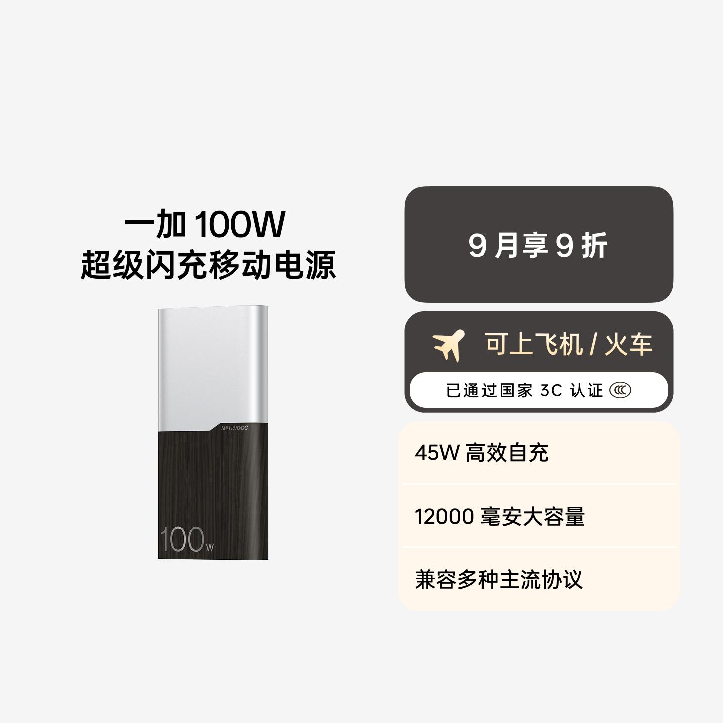 一加 100W 12000mAh 超级闪充移动电源 极夜幽棕